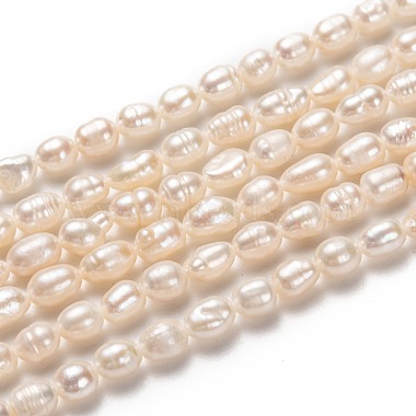 Bisque Rice Pearl Beads