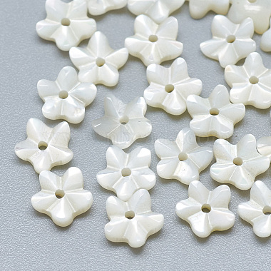 6mm Seashell Flower White Shell Beads
