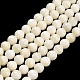 Natural Freshwater Shell Beads Strands(SHEL-C010-06)-1