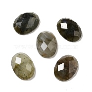 Natural Labradorite Cabochons, Faceted, Oval, 18x13x6mm(G-B032-B01-04)