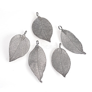 Electroplated Natural Leaf Big Pendants, with Iron Findings, Black Plated, 50~80x20~35x1mm, Hole: 3x6mm(X-IFIN-Q119-03B)