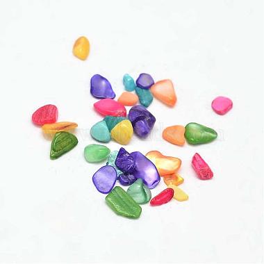 3mm Mixed Color Chip White Shell Beads