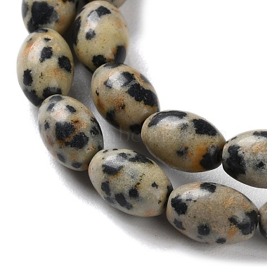 Natural Dalmatian Jasper Beads Strands(G-I369-B03-01)-4