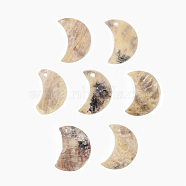 Natural Akoya Shell Pendants, Mother of Pearl Shell Pendants, Moon, Camel, 15x10.5~11.5x1mm, Hole: 1.5mm(X-SHEL-R048-026)