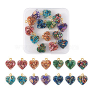 14Pcs 7 Colors Transparent Resin Natural Imperial Jasper Dyed Chips Pendants, with Golden Tone Brass Loops, Heart Charm, Mixed Color, 16.5x15.5x6~6.5mm, Hole: 2mm, 2pcs/color(G-TA0001-39)