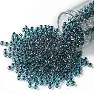TOHO Round Seed Beads, Japanese Seed Beads, (748) Copper Lined Light Aqua, 8/0, 3mm, Hole: 1mm, about 10000pcs/pound(SEED-TR08-0748)