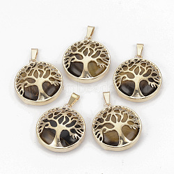Natural Tiger Eye Pendants, with Brass Findings, Flat Round with Tree of Life, Golden, 30.5x27x8mm, Hole: 7x3mm(G-S292-10E-G)