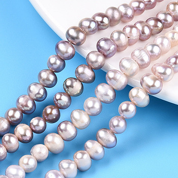 Natural Cultured Freshwater Pearl Beads Strands, Potato, Plum, 5.5~8.5x5.5~6.5mm, Hole: 0.6mm, about 57~59pcs/strand, 13.58~13.78 inch(34.5~35cm)