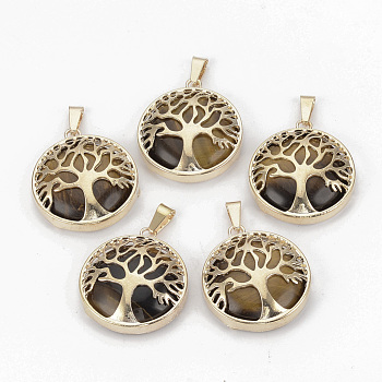 Natural Tiger Eye Pendants, with Brass Findings, Flat Round with Tree of Life, Golden, 30.5x27x8mm, Hole: 7x3mm