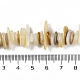 Natural Trochus Shell Beads Strands(BSHE-H109-08)-4