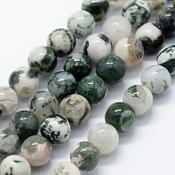 Natural Tree Agate Beads Strands, Round, 8mm, Hole: 0.8mm, about 47pcs/strand, 15.35 inch(39cm)(X-G-I199-03-8mm)