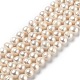 Natural Cultured Freshwater Pearl Beads Strands(PEAR-L033-22)-1