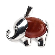 Natural Carnelian Pendants, Elephant Charms with Alloy Findings, Platinum, 29x37~37.5x9.5~10mm, Hole: 3x9mm(G-G112-01P-01)