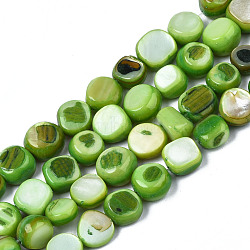 Natural Trochid Shell/Trochus Shell Beads Strands, Dyed, Flat Round, Lime Green, 5~9x1~6mm, Hole: 1mm, about 49~50pcs/strand, 15.16 inch~15.87 inch(38.5cm~40.3cm)(SHEL-S258-083-B05)