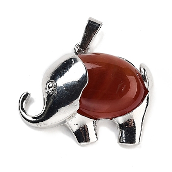 Natural Carnelian Pendants, Elephant Charms with Alloy Findings, Platinum, 29x37~37.5x9.5~10mm, Hole: 3x9mm