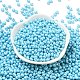 6/0 Glass Seed Beads(SEED-L011-08A-13)-2