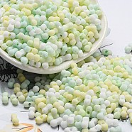 Macaron Color Opaque Frosted Glass Seed Beads, Peanut, Colorful, 6x3x3mm, Hole: 1.2mm, about 4000pcs/pound(SEED-K009-12B-04)