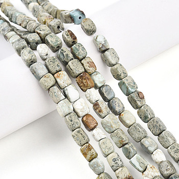 Natural Variscite Beads Strands, Nuggets, Tumbled Stone, 3.5~8.5x4.5~7.5x4.5~7.5mm, Hole: 0.7mm, about 53~60pcs/strand, 14.96~15.55 inch(38~39.5cm)