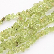 Peridot Gemstone Beads, Chip, about 3~4mm wide, hole: about 0.3mm, about 32~32.5 inch(X-F045)