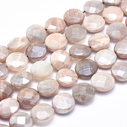 Electroplate Natural Sunstone Beads Strands, Faceted, Flat Round, 14x6~7mm, Hole: 1.2~1.5mm, about 28pcs/strand, 15.5 inch(G-K256-20B)