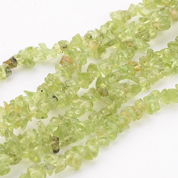 Peridot Gemstone Beads, Chip, about 3~4mm wide, hole: about 0.3mm, about 32~32.5 inch