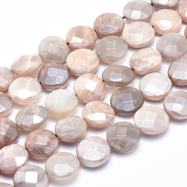 14mm Flat Round Moonstone Beads