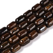 Natural Bronzite Beads Strands, Column, 9~9.5x6mm, Hole: 0.9~1mm, about 42~43pcs/strand, 15.24~15.8''(38.7~39.5cm)(G-G980-42A)