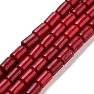 Synthetic Turquoise Beads Strands, Dyed, Column, Red, 6x4mm, Hole: 1mm, about 64pcs/strand, 15.5 inch(X-TURQ-G120-4x6mm-07)