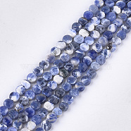 Natural Sodalite Beads Strands, Faceted, Flat Round, 4~4.5x2.5~3mm, Hole: 0.8mm, about 88~89pcs/strand, 14.9 inch~15.1 inch(G-S354-34)
