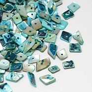 Dyed Natural Freshwater Shell Chips Beads, Sky Blue, 11~16x4~8x2~5mm, Hole: 1mm, about 700pcs/500g(SHEL-A003-A04)