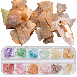 1 Set 12 Grid Nuggets Abalone Shell Nail Art Sequins for Woman Girls, DIY Nail Art Design, Mixed Color, 2~20x1~10x0.2~0.6mm(MRMJ-SP0001-06)