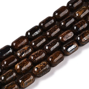 Natural Bronzite Beads Strands, Column, 9~9.5x6mm, Hole: 0.9~1mm, about 42~43pcs/strand, 15.24~15.8''(38.7~39.5cm)