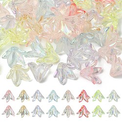 Transparent Acrylic Bead Caps, Lily Flower, Mixed Color, 16x12mm, Hole: 1.2mm, 50pcs/bag(OACR-FS0001-49)