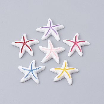 Resin Cabochons, Starfish/Sea Stars, Mixed Color, 23x23x6mm