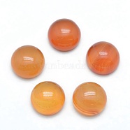 Natural Carnelian Cabochons, Half Round, 10x4~5mm(G-P393-R41-10mm)
