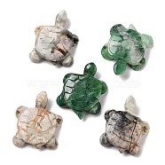 Natural Sinkiang Jade/Picasso Jasper Carved Beads, Turtle, 35~38x28~30x7.5~9mm, Hole: 3.4mm(G-K383-13)