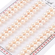 Grade 6A Natural Cultured Freshwater Pearl Beads, Half Drilled, Half Round Beads, White, 5.5~6x4mm, Hole: 1mm(PEAR-N018-6A-5560A)