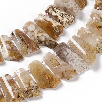 Natural Cherry Blossom Agate Beads Strands, Nuggets, 25~49.5x21.5~24x8.5~10mm, Hole: 2~2.5mm, about 23pcs/strand, 17.91~18.50 inch(45.5~47cm)
