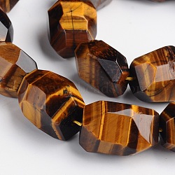 Nuggets Natural Tiger Eye Beads Strands, 15~22x8~17mm, Hole: 1mm, about 18~22pcs/strand, 15 inch(G-D770-01)