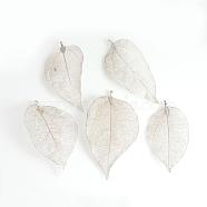 Electroplated Natural Leaf Big Pendants, with Iron Findings, Platinum Plated, 55~85x25~40x1mm, Hole: 3x6mm(IFIN-Q119-02K)
