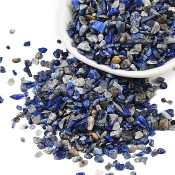 Natural Lapis Lazuli Chip Beads, Tumbled Stone, No Hole, 3~5x2~4mm, about 4300pcs/500g
