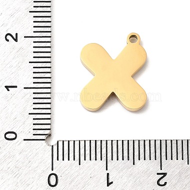 304のステンレス鋼のペンダントは(STAS-K297-09X-G)-3