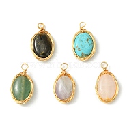 5Pcs 5 Styles Natural Mixed Stone Copper Wire Wrapped Pendants, Oval Charms, Light Gold, Mixed Dyed and Undyed, 21~23x12~12.5x5~6mm, Hole: 3mm, 1pc/style(PALLOY-JF02501)