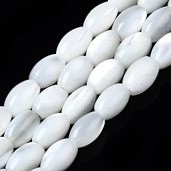 Natural Trochid Shell/Trochus Shell Beads Strands, Oval, Bleach, Seashell Color, 5x3mm, Hole: 0.7mm, about 79~80pcs/strand, 15.94 inch(40.5cm)(SSHEL-S266-021A-01)
