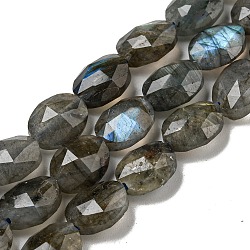 Natural Labradorite Beads Strands, Faceted, Flat Oval, 10x8x5mm, Hole: 1mm, about 38pcs/strand, 15.04''(38.2cm)(G-P544-D06-01)