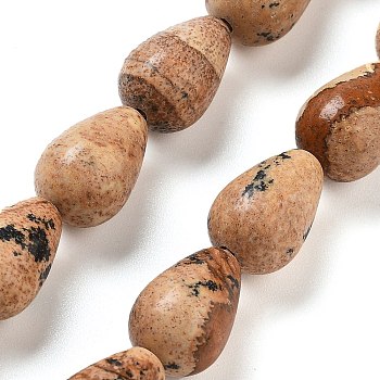 Natural Picture Jasper Beads Strands, Teardrop, 12x8mm, Hole: 1.2mm, about 33~34pcs/strand, 15.16~16.54''(38.5~42cm)