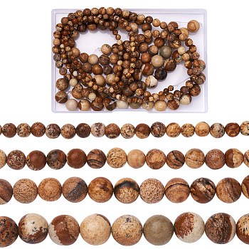 4 Strands 4 Sizes Natural Picture Jasper Beads Strands, Round, 1 strand/style