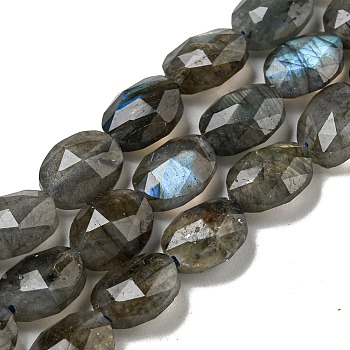 Natural Labradorite Beads Strands, Faceted, Flat Oval, 10x8x5mm, Hole: 1mm, about 38pcs/strand, 15.04''(38.2cm)