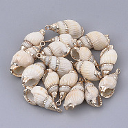 Electroplate Spiral Shell Pendants, with Iron Findings, Golden, Seashell Color, 19~29x9~13x8~10mm, Hole: 1.6mm(SSHEL-T009-23)