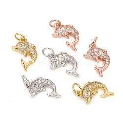 Brass Micro Pave Cubic Zirconia Charms, with Jump Rings, Dolphin, Clear, Mixed Color, 14x9x2.5mm, Jump Rings: 4.8x0.8mm, 3.2mm Inner Diameter(ZIRC-L096-09)